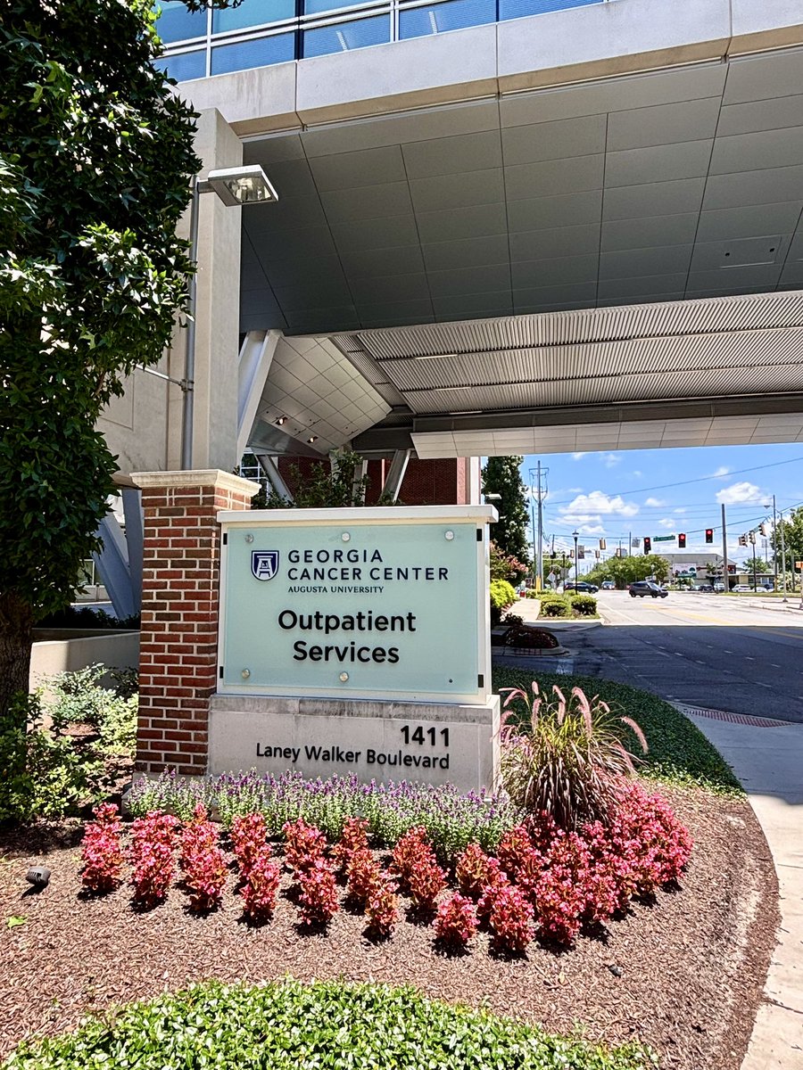 DPetersMD's tweet image. Wrapped up a great first week as BMT & Cell Therapy faculty @GACancerCenter @MCG_AUG. Enjoying the new office, meeting the team, and marveling at both the state-of-the-art core facilities and beautiful campus. It makes it easy to feel inspired.💡Let’s get to work!