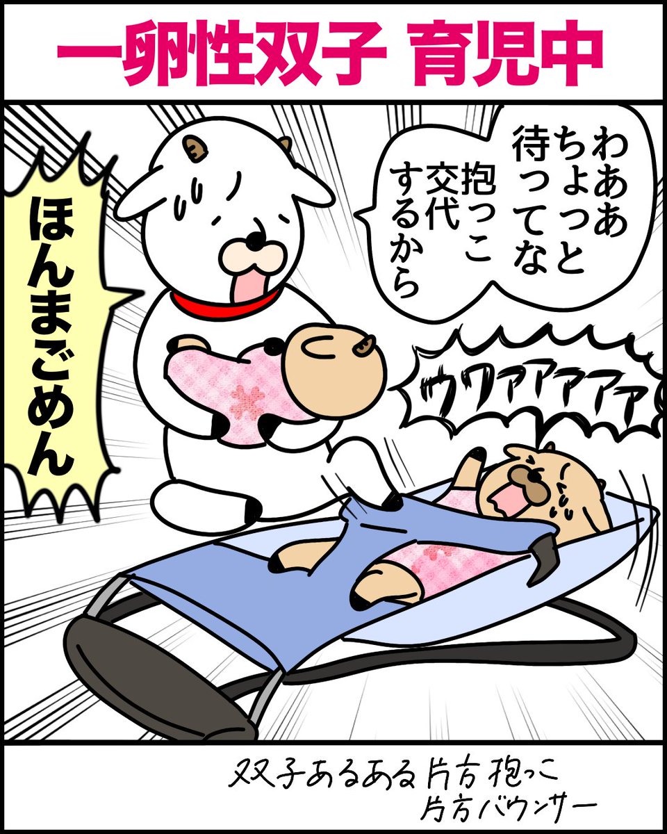 しるたん 一卵性双子 1𝕪1𝕞(修正1𝕪0𝕞) tweet media