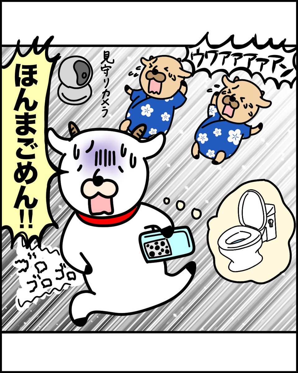 しるたん 一卵性双子 1𝕪1𝕞(修正1𝕪0𝕞) tweet media