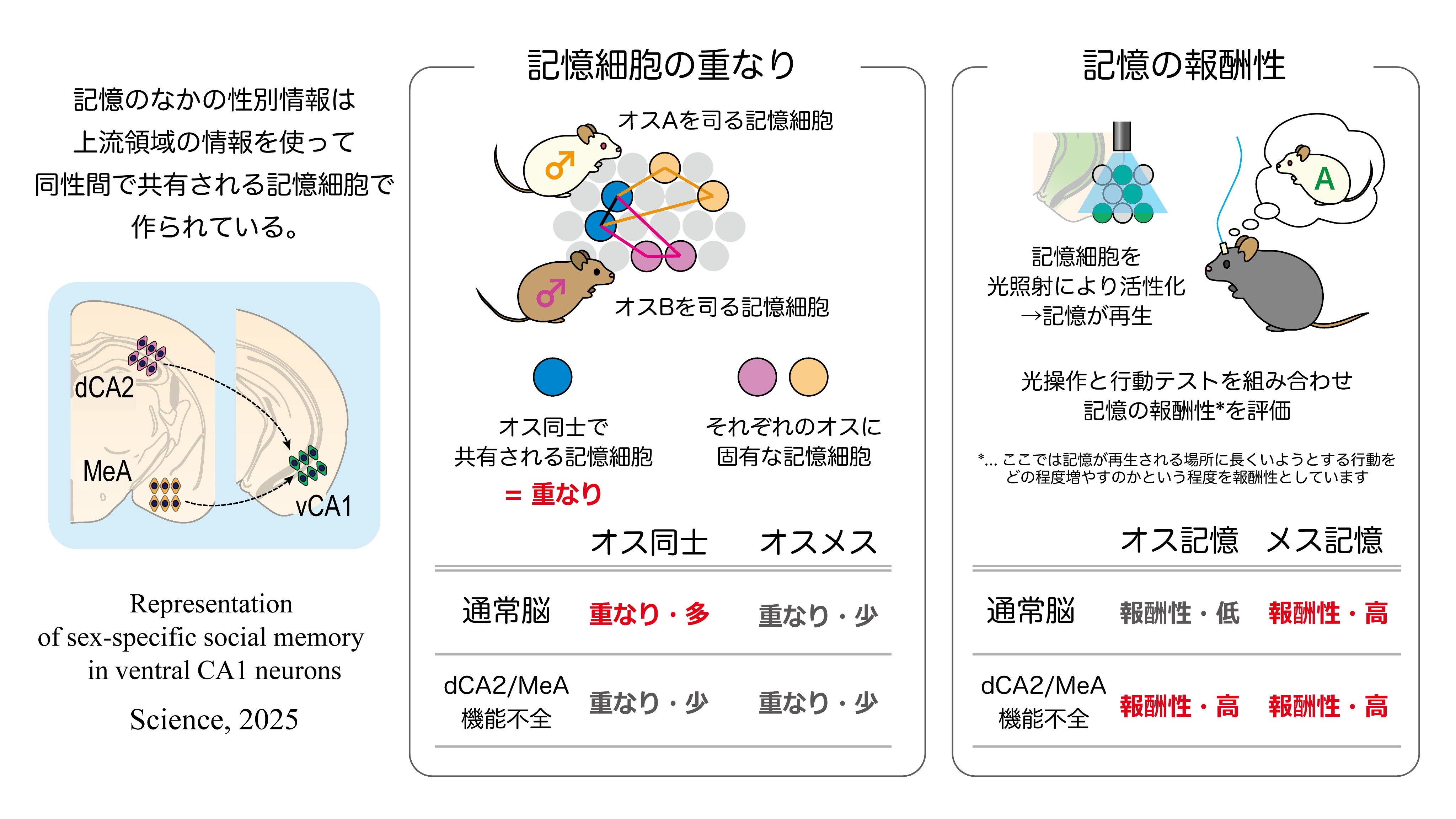 知の創成 身体性認知科学への招待 知の創成 身体性認知科学への招待 知の創成 身体性認知