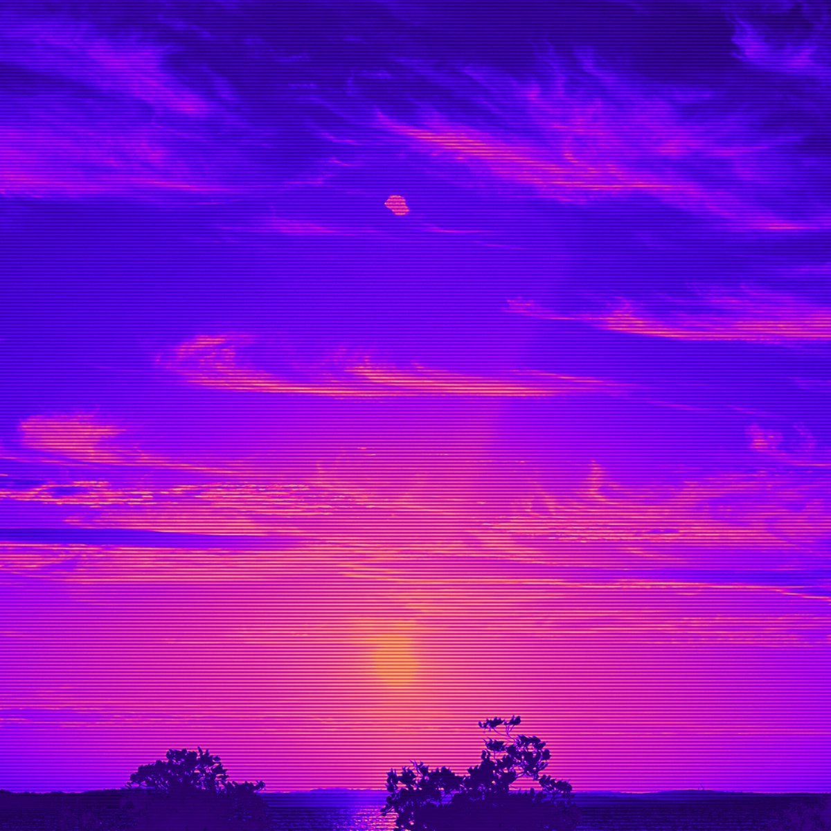 Summer In Stereo tweet media