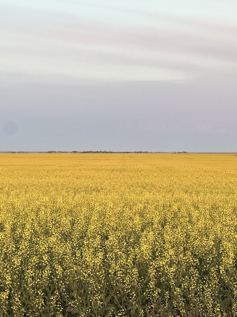 Jason LeBlanc tweet media