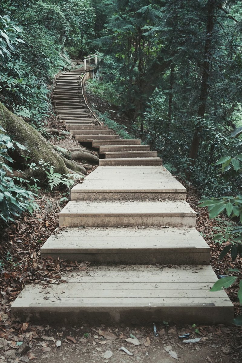 不才路人丁 tweet media