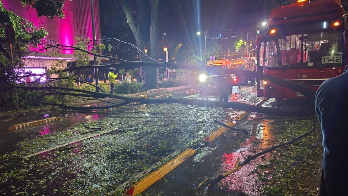 Arbol caido en plataforma felix cuevas 
Sobre Insurgentes
<a href="/MetrobusCDMX/">Metrobús CDMX</a>