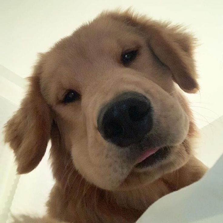 pupdon's tweet photo. https://t.co/59c3Nd5EHR