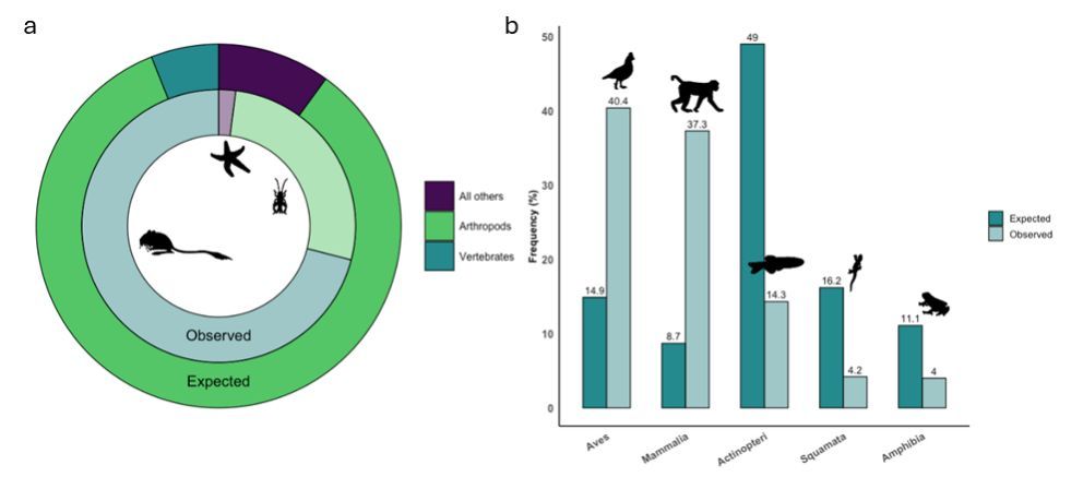 "Ungeneralizable generalizations? A meta-meta-analysis of the influence of taxonomic bias on the study of behavior." - doi.org/10.32942/X2XM06