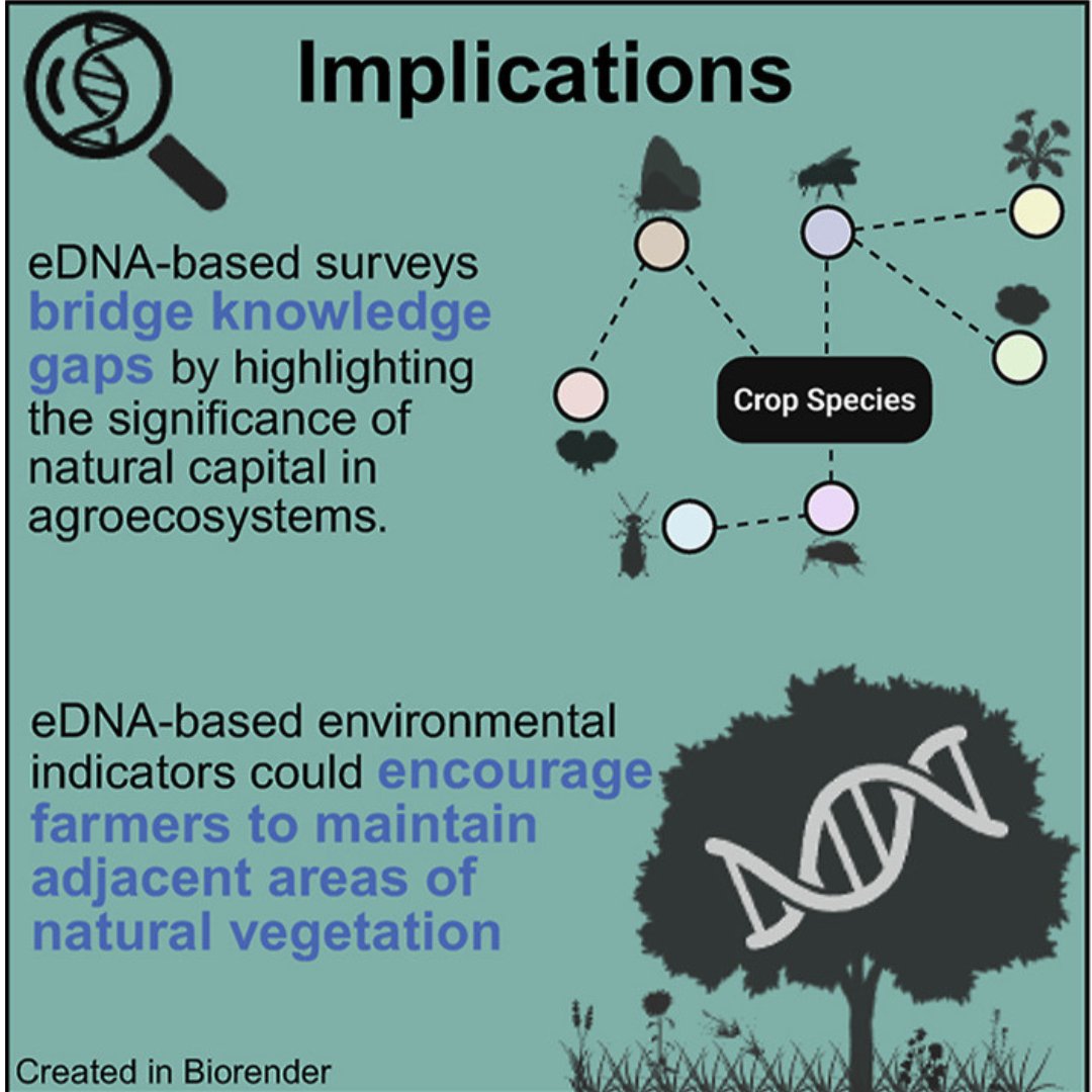 🥑 New research from Dr Joshua Kestel, in collaboration with Associate Professor Paul Nevill, has shown that the presence of natural vegetation fragments next to avocado orchards enhances the presence of beneficial pollinators.

🔗curtin.edu.au/news/media-rel…

#curtinmls