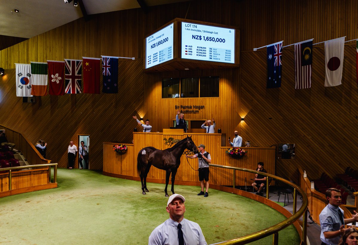Entries for NZB’s 2025 Ready to Run Sale of Two-Year-Olds are now open, with the Sale to be held at the Karaka Sales Centre on 13 and 14 November.  🚨

With a reputation like no other, NZB’s Ready to Run Sale is renowned for being the leading breeze up sale globally. The