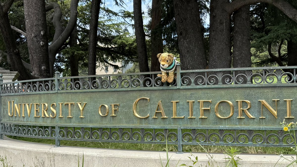 After many adventures, Temayin, official mascot of the Mayan train 🇲🇽 arrived to UC Berkeley to share everything about his exceptional culture and immediately connected with students and faculty! Go bears! <a href="/UCBerkeley/">UC Berkeley</a> <a href="/VisitBerkeley/">Visit Berkeley</a> #Temayinporelmundo #DiplomaciaTuristica