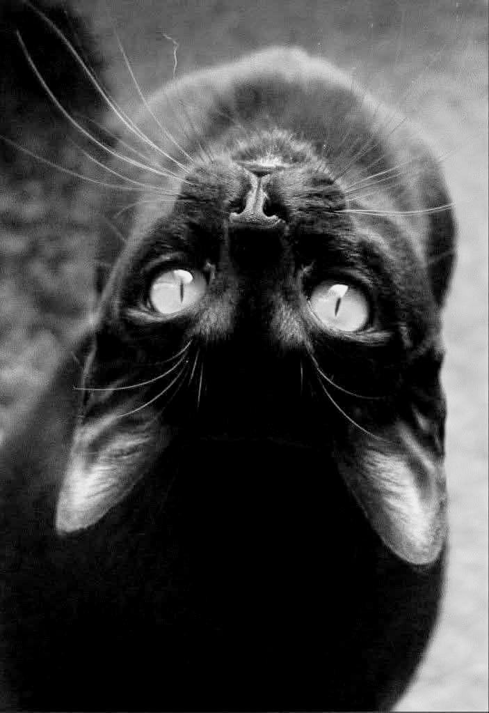 Marie (@m77481070) on Twitter photo 