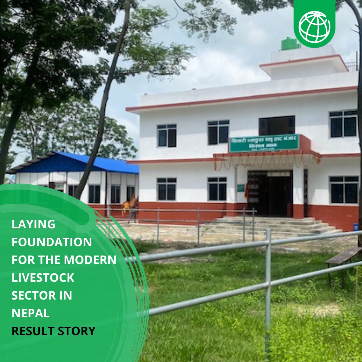 IDA - World Bank (@wbg_ida) on Twitter photo From Nepal's first Pashmina Processing Center to a high-tech lab for certifying goat meat for international export – read how an <a href="/WBG_IDA/">IDA - World Bank</a>-financed project is helping unlock the potential of Nepal’s livestock sector ⬇️
wrld.bg/cyGK50Wh4iJ
#IDAworks From Nepal's first Pashmina Processing Center to a high-tech lab for certifying goat meat for international export – read how an <a href="/WBG_IDA/">IDA - World Bank</a>-financed project is helping unlock the potential of Nepal’s livestock sector ⬇️
wrld.bg/cyGK50Wh4iJ
#IDAworks