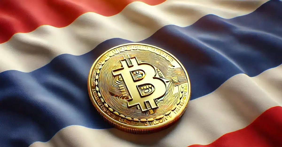 Crypto News Hunters 🎯 tweet media