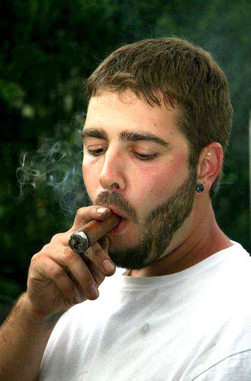 ROBERT_THEBEAR tweet media