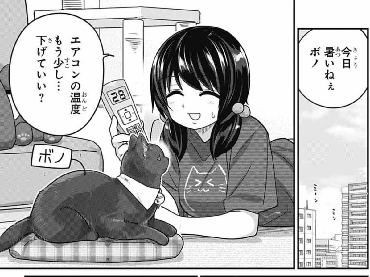 kidomitsuru's tweet image. 発売中のジャンプSQ.8月号に『カワイスギクライシス』載せてもらってます。センターカラーです!
愛猫に夏を快適に過ごしてほしいと奔走するリザ達。みんなはどう暑さ対策してるか調査開始!
ある春の日、杏の部屋の外にツバメが…!
という2本立てです。
どうぞよろしくお願いします!