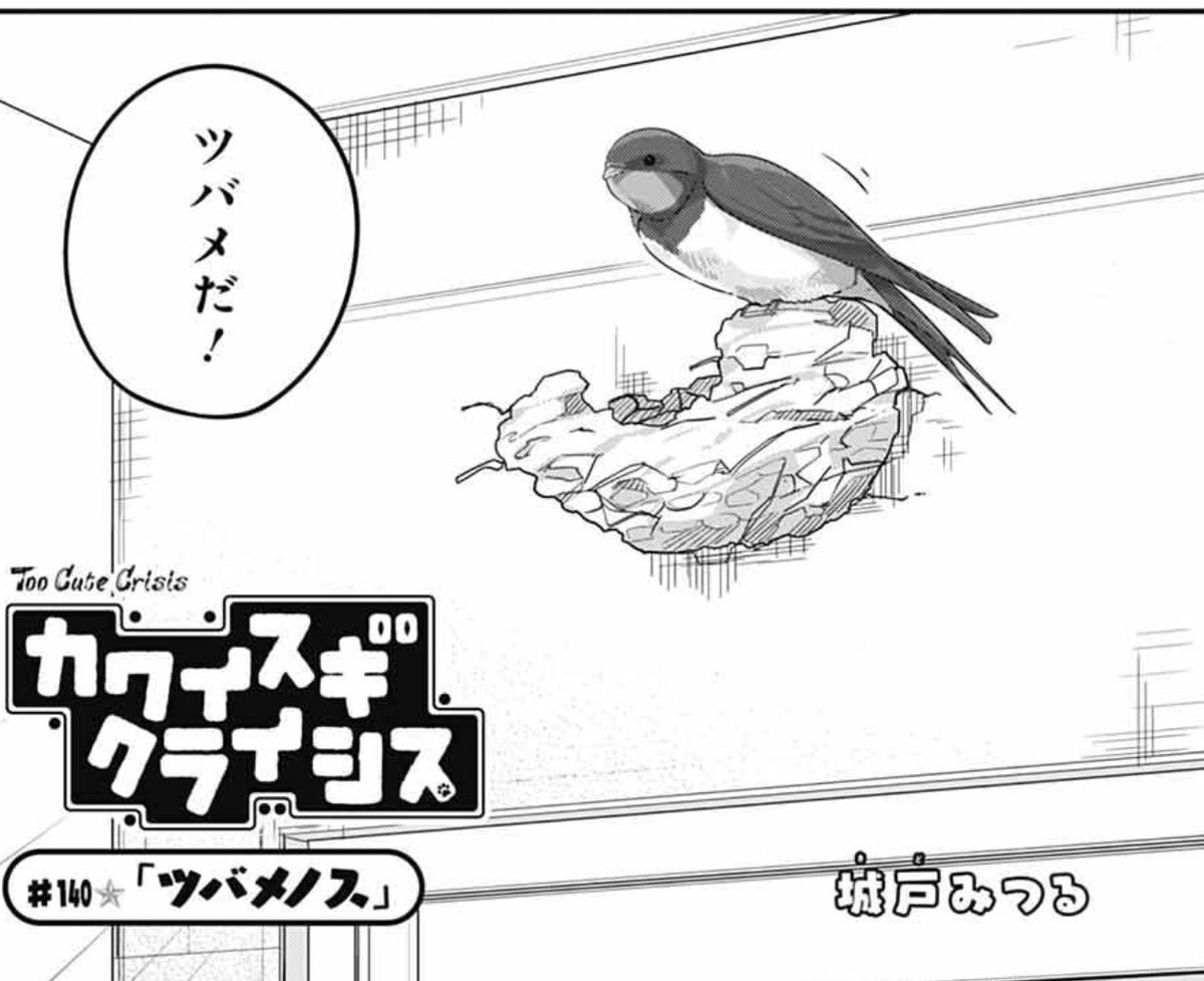 kidomitsuru's tweet image. 発売中のジャンプSQ.8月号に『カワイスギクライシス』載せてもらってます。センターカラーです!
愛猫に夏を快適に過ごしてほしいと奔走するリザ達。みんなはどう暑さ対策してるか調査開始!
ある春の日、杏の部屋の外にツバメが…!
という2本立てです。
どうぞよろしくお願いします!