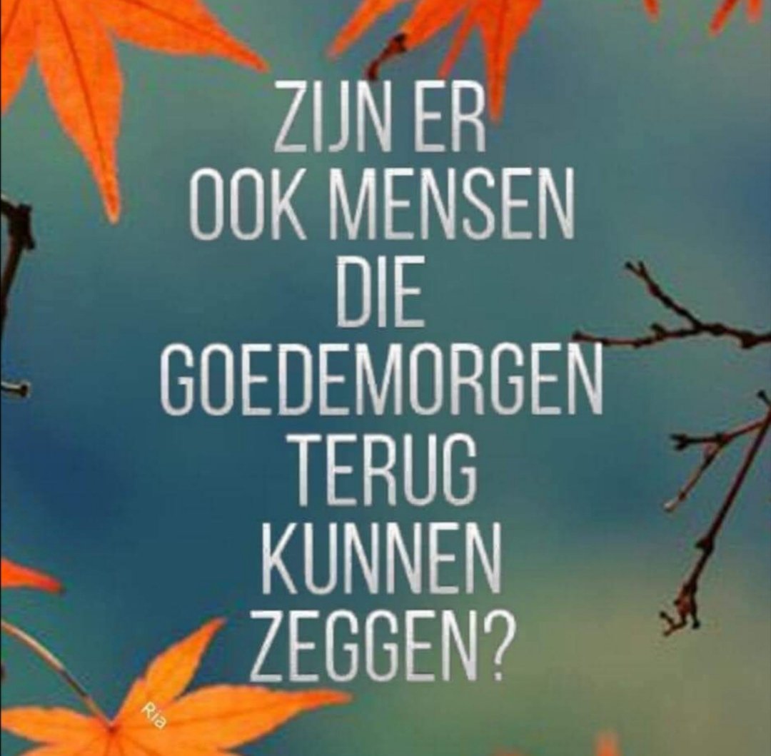 Wim Goorman tweet media