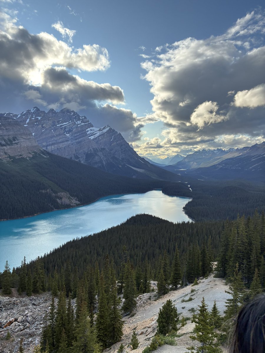 atushaik's tweet image. show me something more beautiful than this