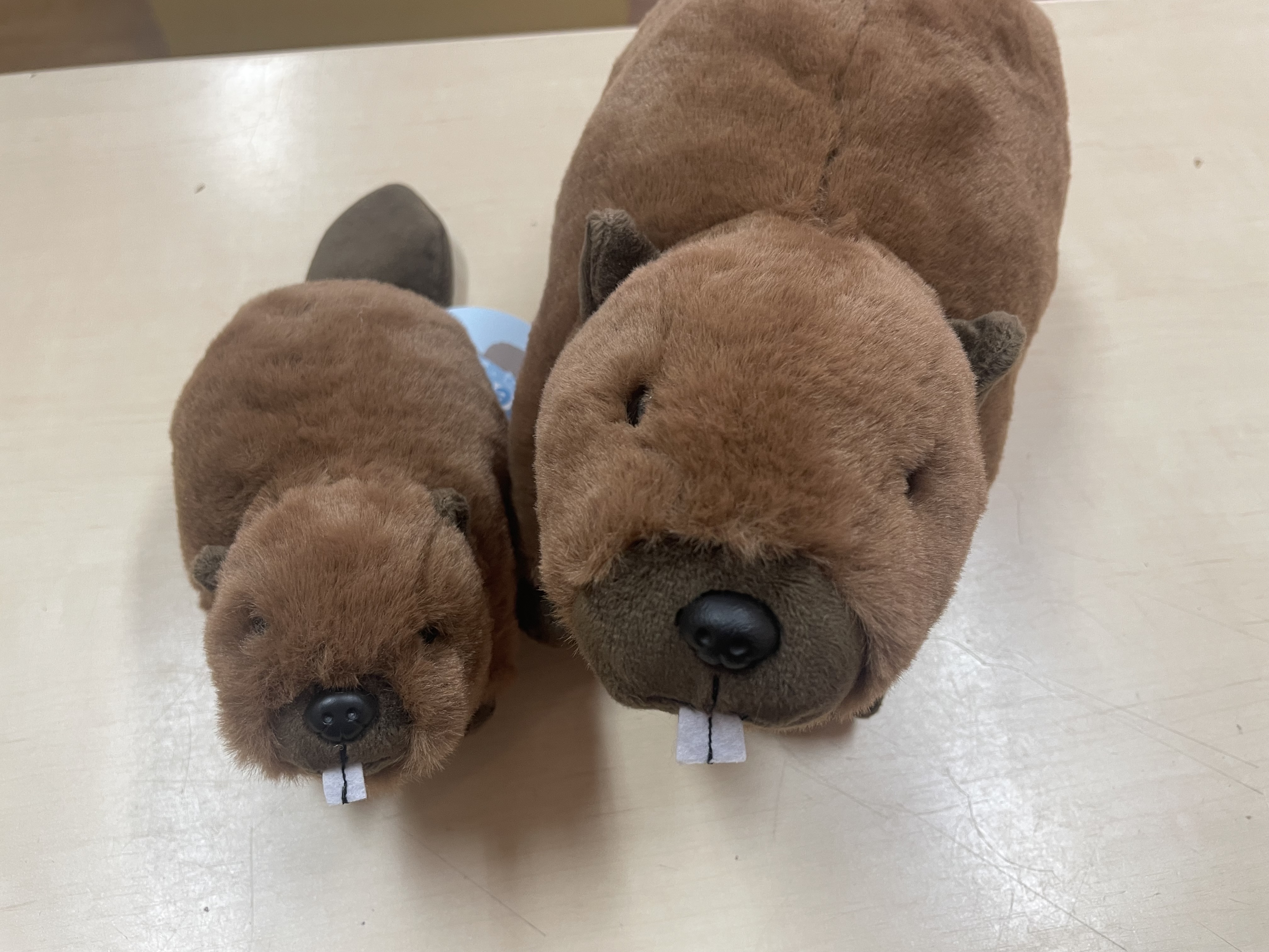 ワーリー ぬいぐるみ セット ぬいぐるみのテイクオフ【公式】 (@takeoff1987) / X