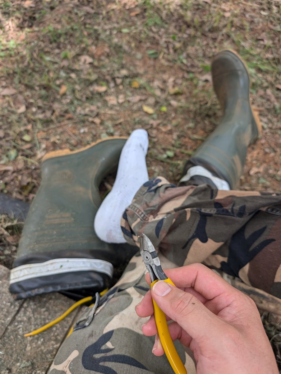 Jimmy Lin tweet media