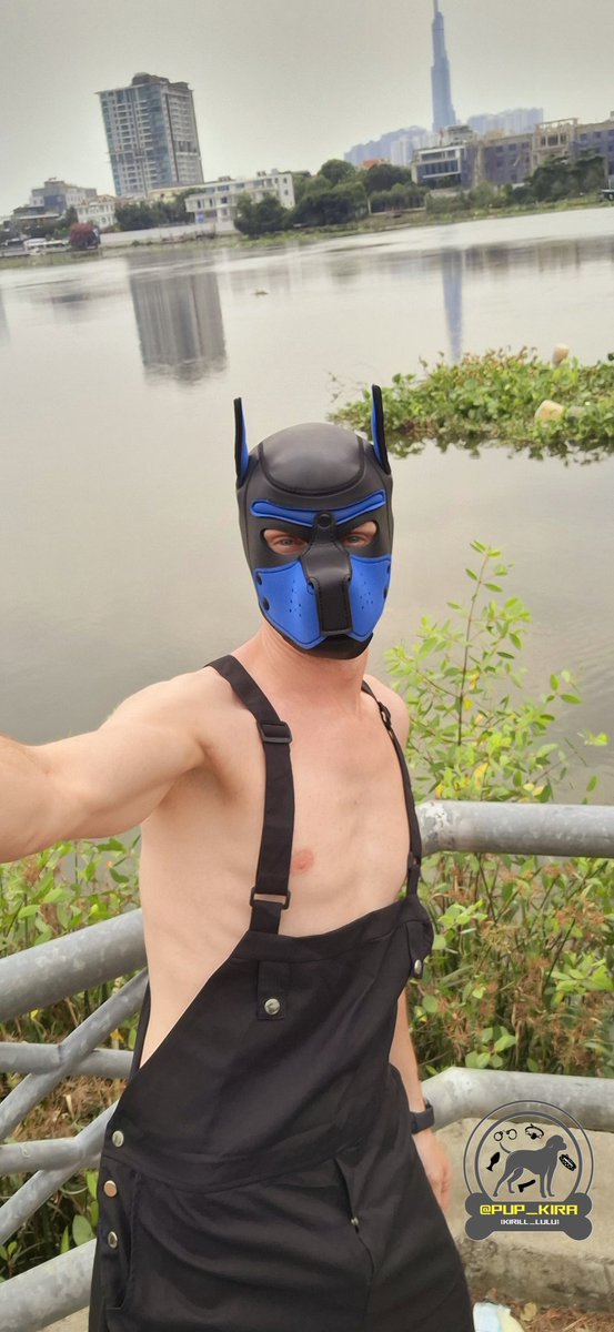 morning friday 👋 woof woof