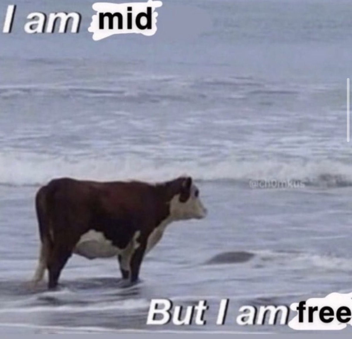 i think about this a alot