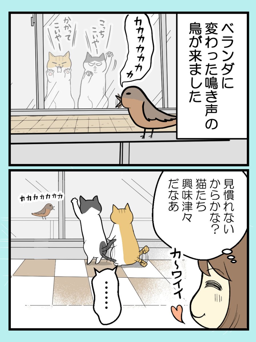 猫の謎の『カカカカ』現象、正体は…? 