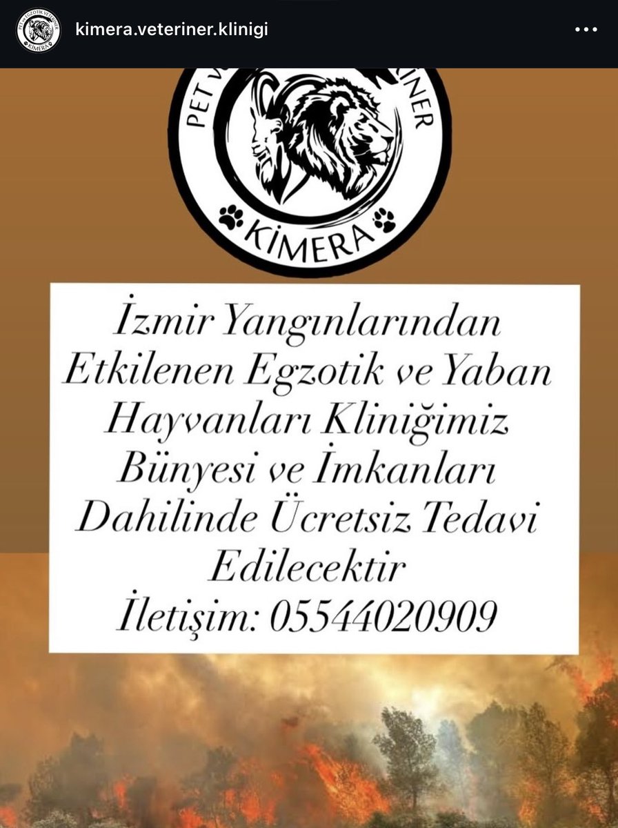 Yangından etkilenen çok fazla egzotik hayvan var ve her klinik egzotik bakamıyor.

Kimera veteriner kliniği yangından kurtarılan egzotik hayvanlara geçen yıl olduğu gibi bu yıl da ücretsiz bakacak.

Lütfen yayalım