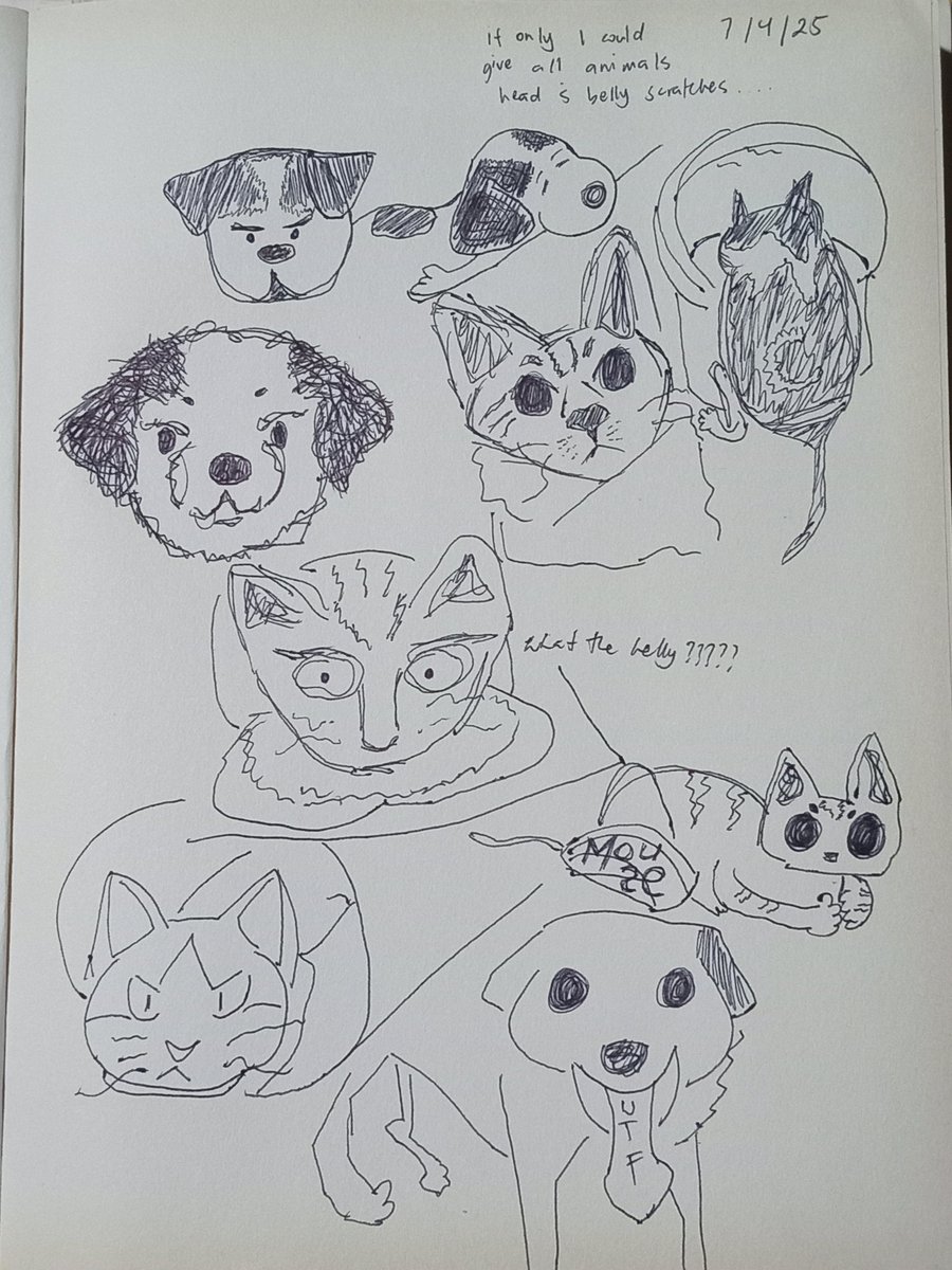 blu_archive's tweet photo. If only I could give all animals head and belly scratches... 

blu. This progressively got worse tho 😭 https://t.co/ChvU7U6UNR