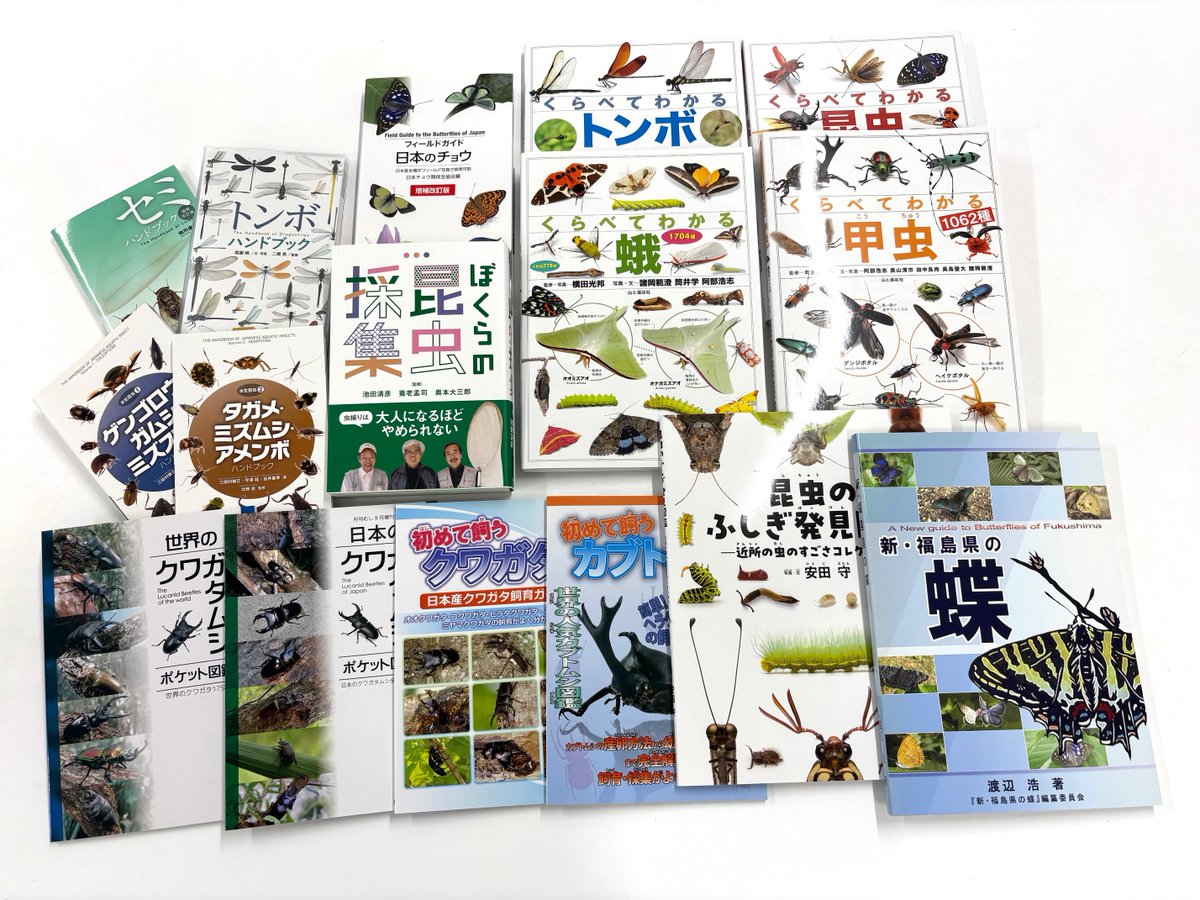 昆虫フィールド　　創刊号〜No.92 昆虫フィールド創刊号〜No.92