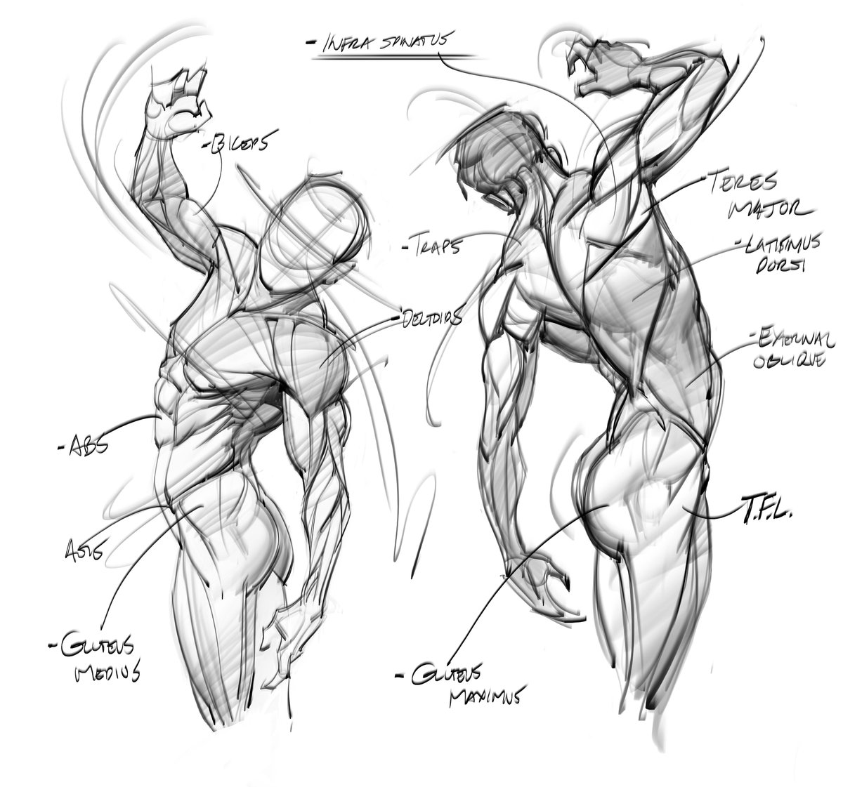 Everything in the Proko store is 20% off with the code SUMMERSALE! The sale is for 3 more days and ends July 6th! You can find my tutorials and lots of great reference bundles and other tutorials 20 percent off with that code:) Here's a link below!

proko.com/s/QktT?af=1063…