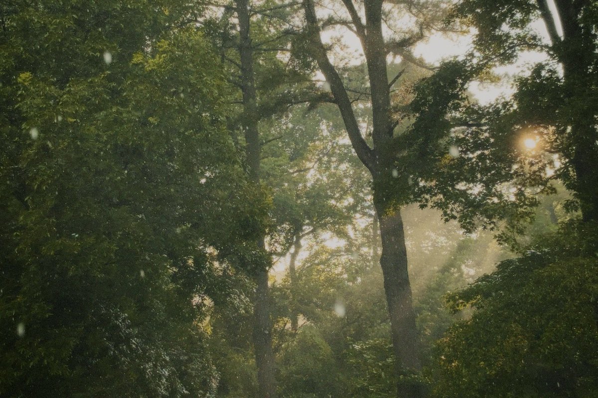 rainy day