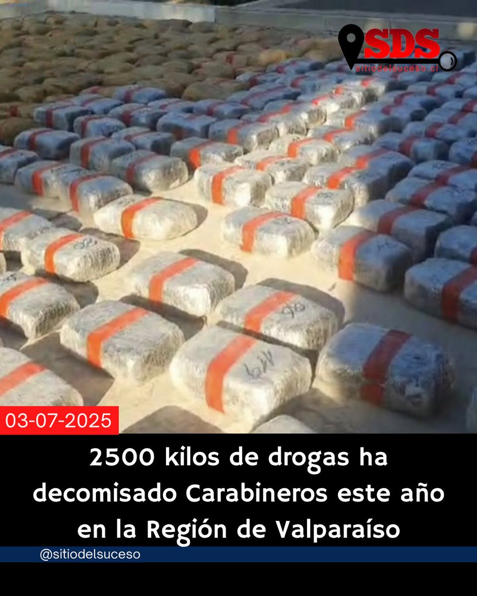 2500 kilos de drogas ha decomisado Carabineros este año en la Región de Valparaíso

Detalles en ➡️  sitiodelsuceso.cl/2025/07/03/250…