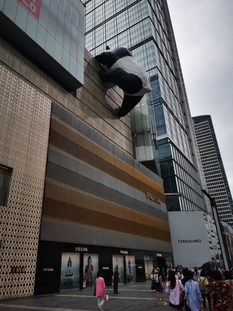 FUFrank6's tweet photo. 成都熊貓 https://t.co/YwqiSpcXPY