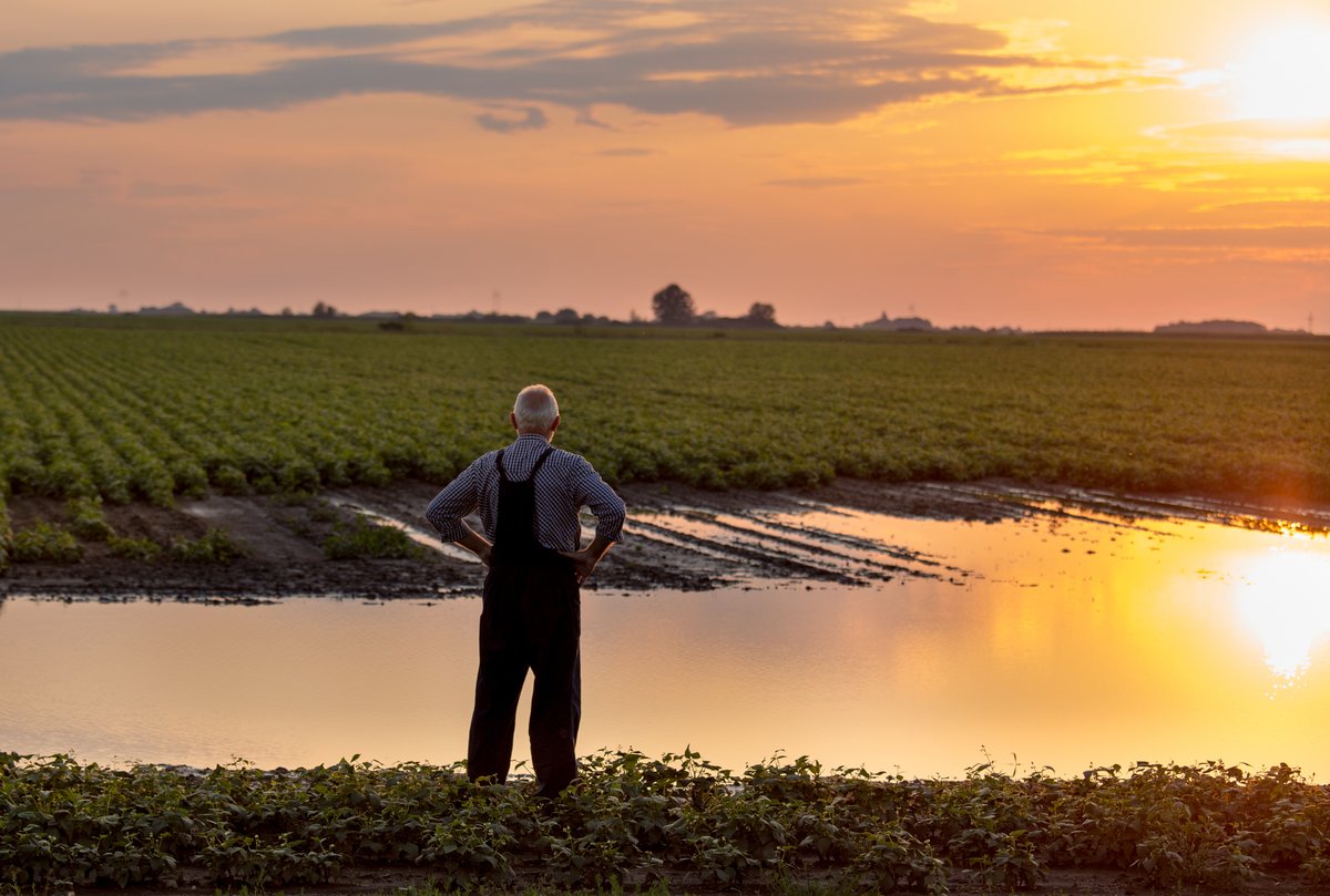 More rain for the summer or is Kansas mostly done with moisture? K-State meteorologist Chip Redmond explains what he is forecasting for the rest of July. Hear it on today's show of Agriculture Today. 
agtodayksu.libsyn.com/1967-usda-repo…