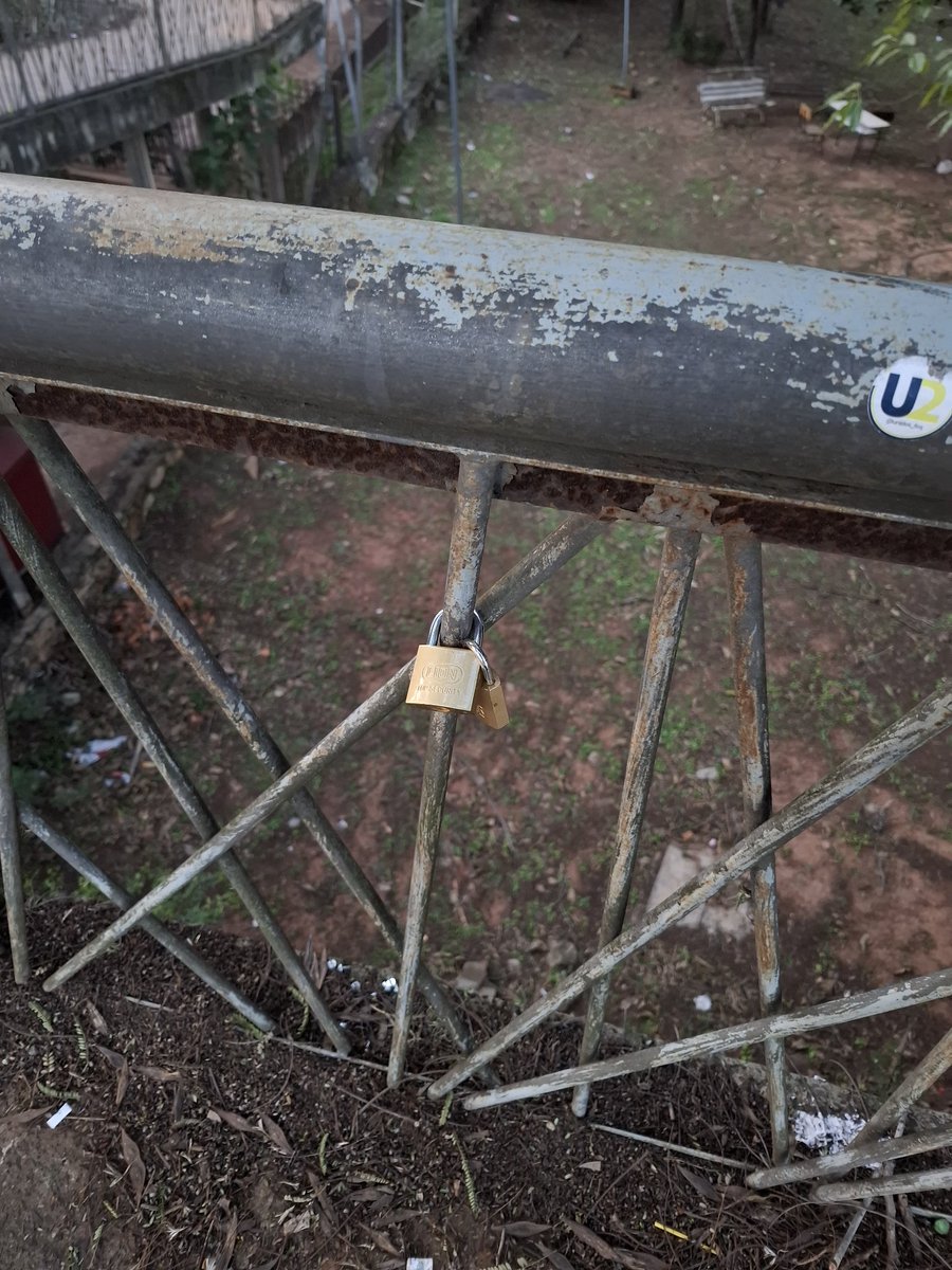 Quien se hizo el romántico en el puente de la UNA