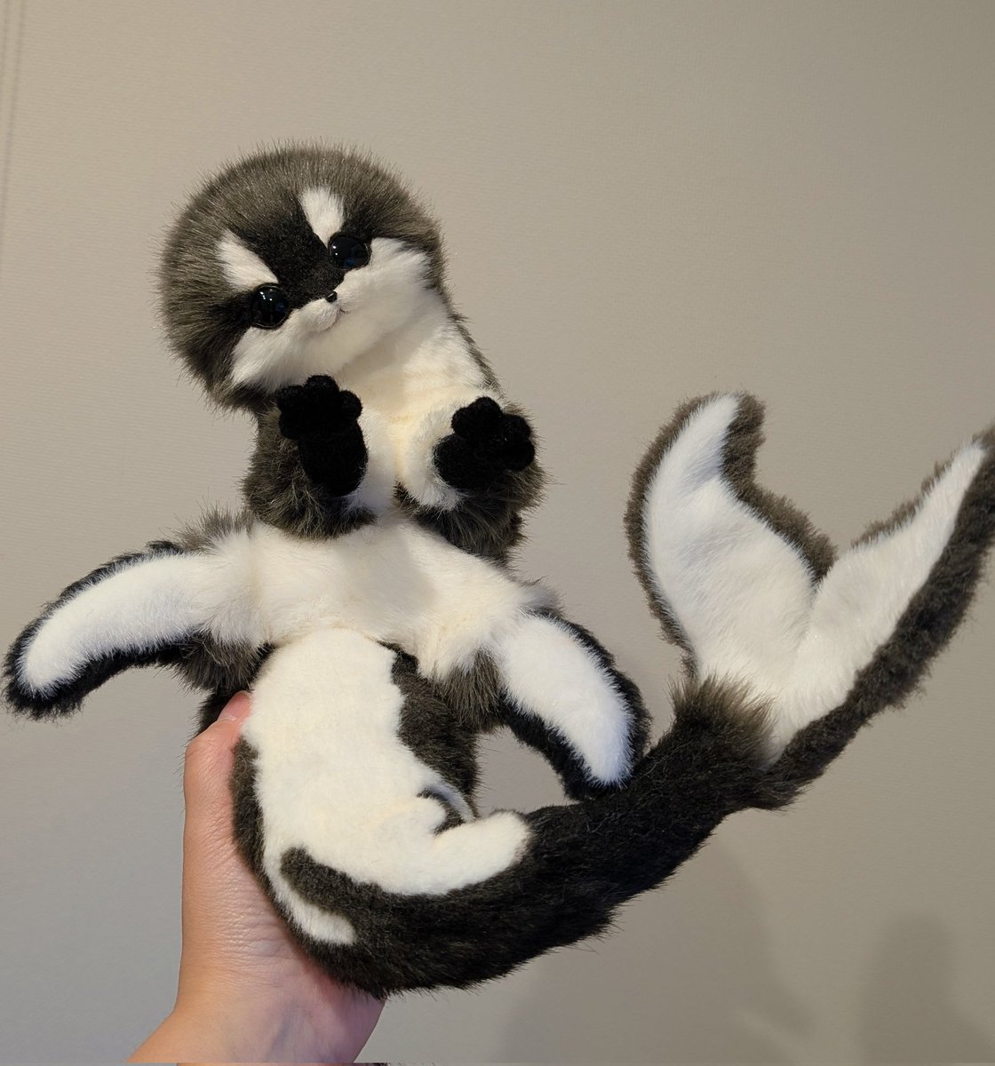 おててないないになるのがクセですが、ちいさくて器用な前足があります。