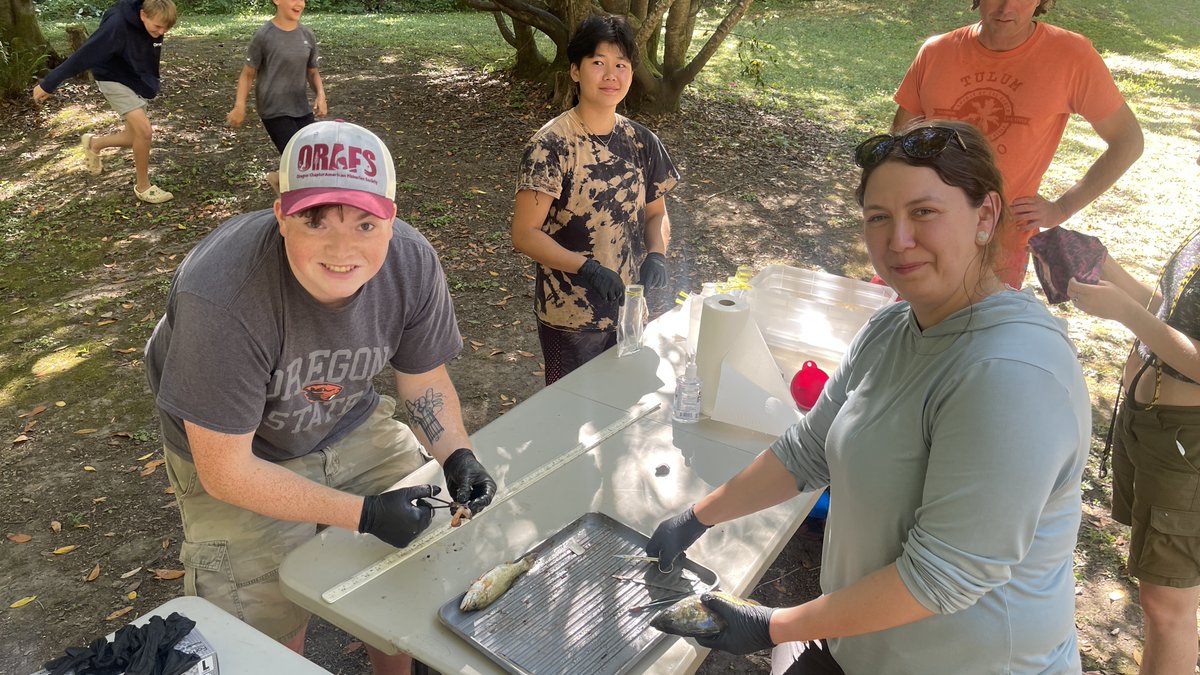 behes2's tweet photo. https://t.co/ZkepfKSTJd 

We did collect some samples of smallmouth bass stomachs during the Fourth Annual Umpqua Bass Bash—and what a day it was!

A huge shoutout to Emillee, Melia, McKenna, and Weston for your fantastic help in the field. Your teamwork. https://t.co/k1rkwwNmsR