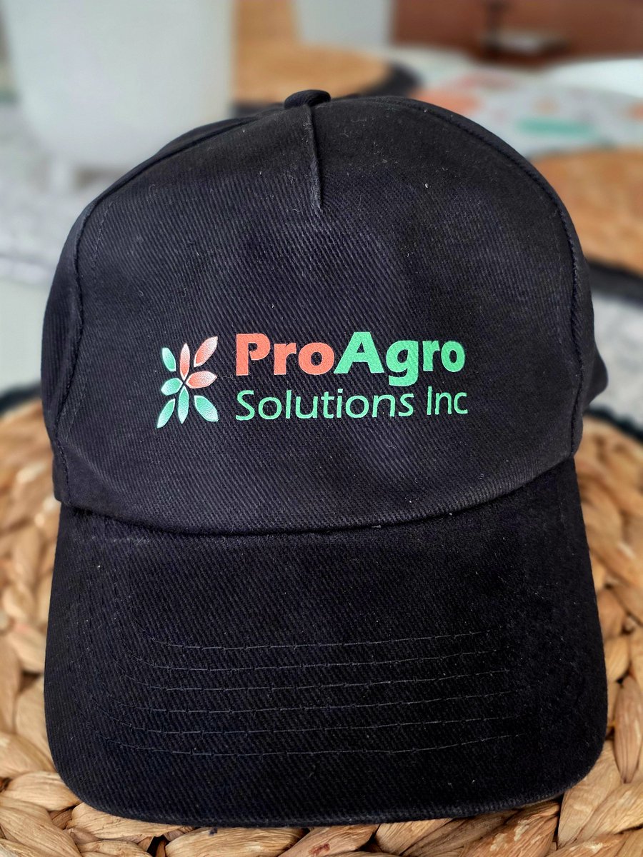 "A man is as big as his dreams"  Proyecto Cumbre