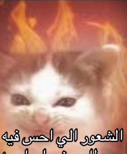 . (@alcoldfish) on Twitter photo 