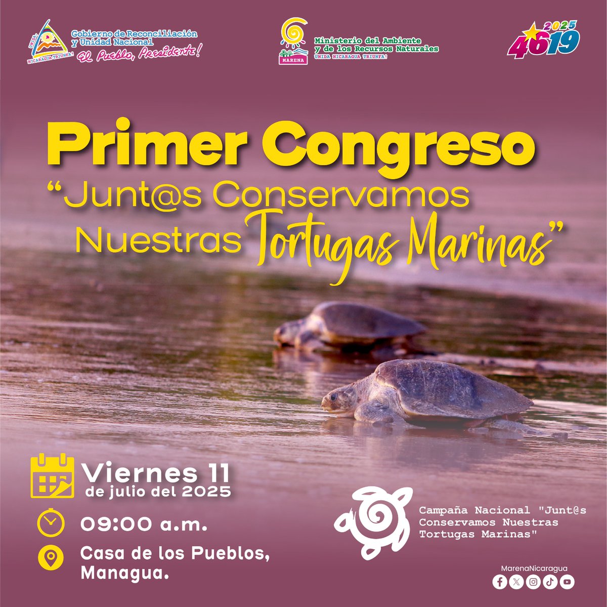 La próxima semana llevaremos a cabo el primer congreso "Junt@s Conservamos Nuestras Tortugas Marinas".

#TortugasMarinas 
#AmorAlaMadreTierra 
#Biodiversidad