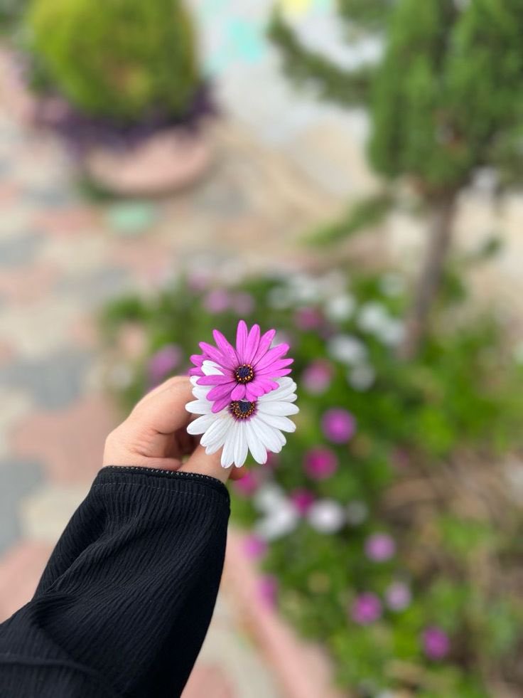 🌿 ﺍﻟﺴَّـــــــﻼَﻡُ ﻋَﻠَﻴــْــﻜُﻢ ﻭَﺭَﺣْﻤَﺔُ ﺍﻟﻠﻪِ ﻭَﺑَﺮَﻛـَـﺎﺗُﻪ 🌿
 صـبـــــــــــــح بـــــخــــیــــــــر 

May your life always be filled with light, love, happiness, and good health... 💝
Good Morning 🌼

#پبلک_انٹرسٹ_اڈیالہ_میں 
#TDR_now