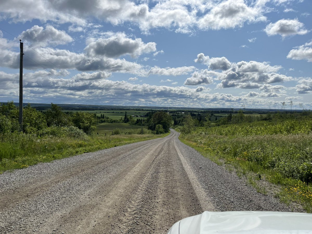 megnmoran's tweet image. Such a peaceful day in Temiskaming. Some very nice spring canola and a few fields with high levels of Swede midge damage.
Didnt get above 17C so it was quite pleasant. And not a toddler in site, haha.