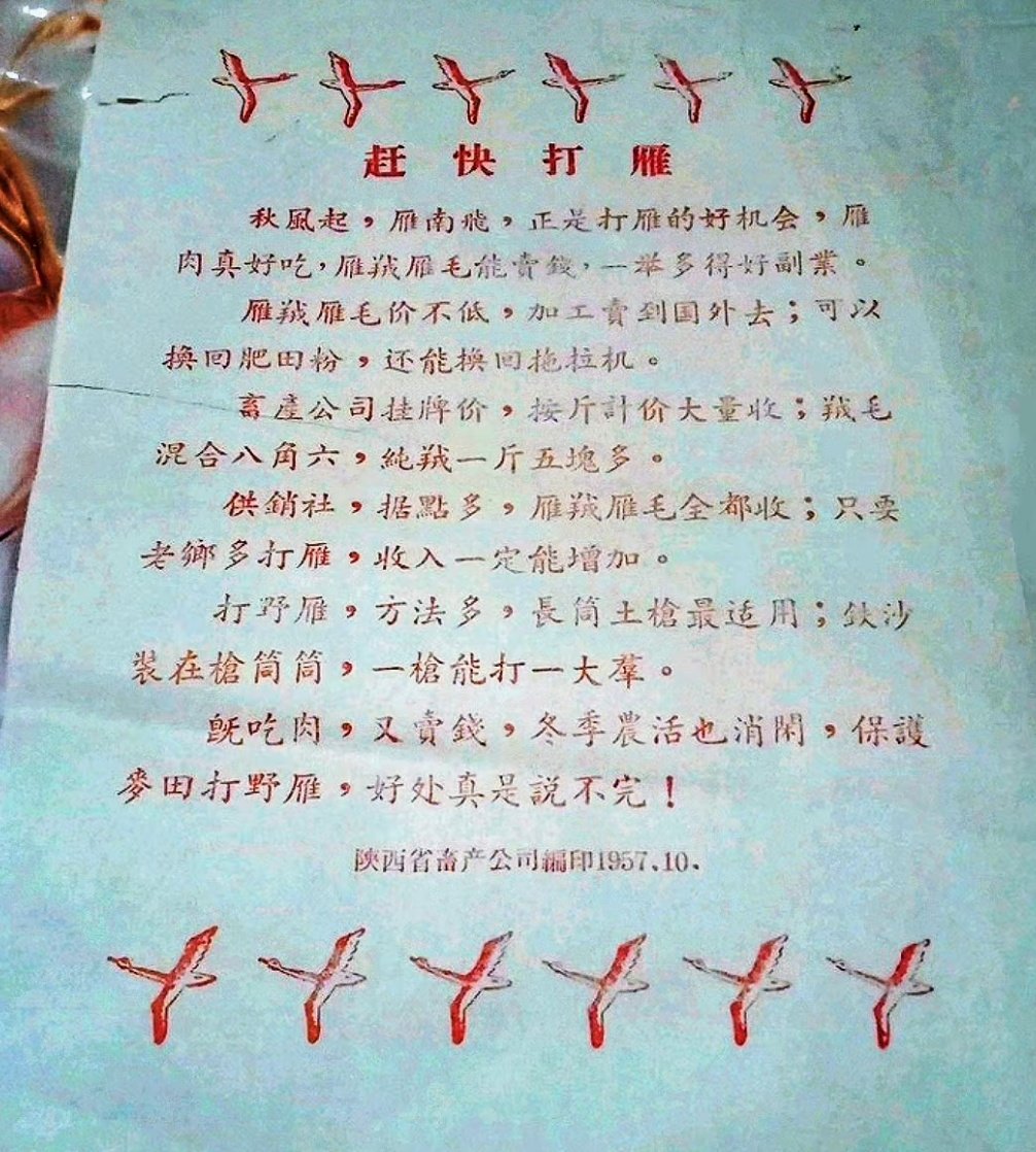（打雁表）😅🤯