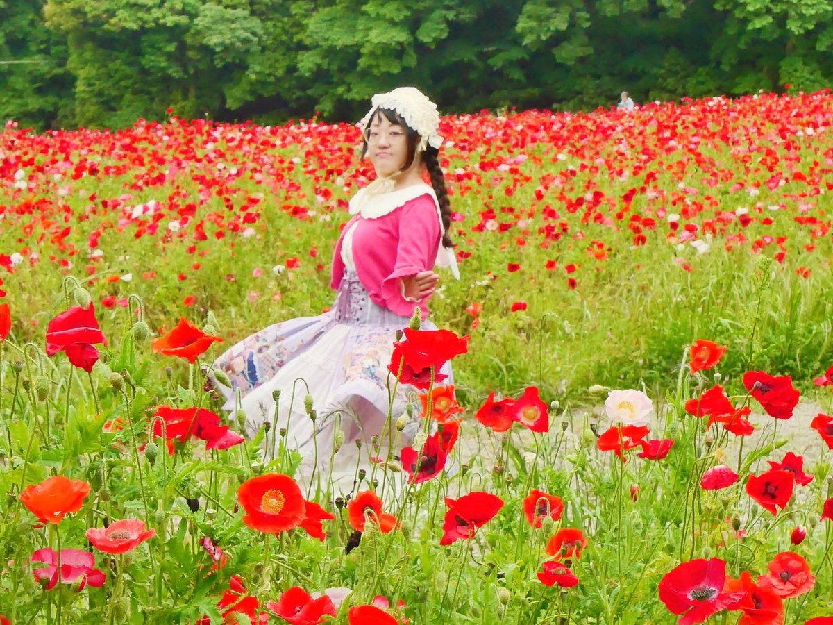 花畑でくるくる

緑川春希さん <a href="/Haruki_guu/">緑川 春希🐇ロリィタ系🌷︎</a> 

5月下旬のこの日は…20℃ほどしか気温上がらないから半袖はナシね、なんて話してたついひと月半前。
この心地よさをもう一度…