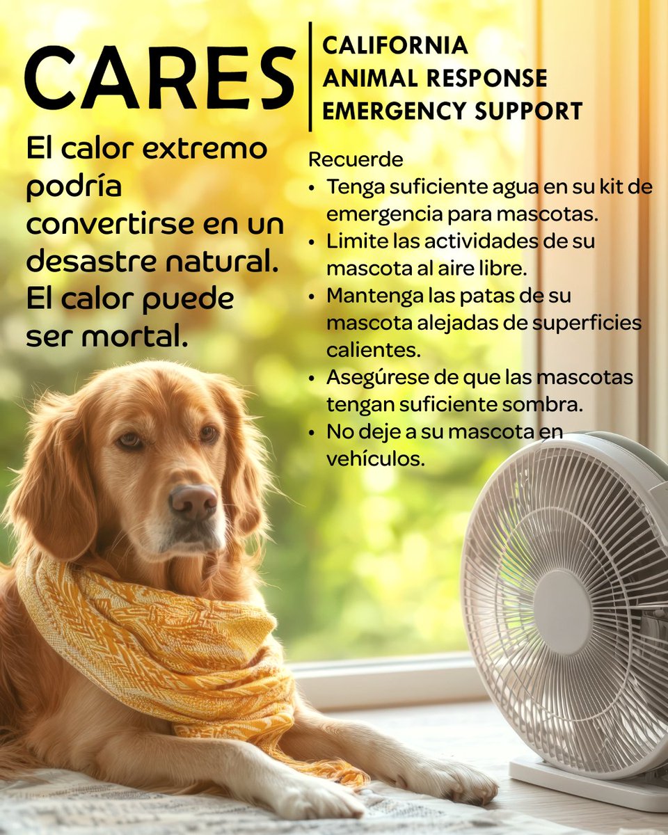 El calor extremo puede convertirse en un desastre natural. El calor extremo puede provocar enfermedades relacionadas con el calor y puede ser mortal. Mantenga a su #mascota a salvo teniendo suficiente agua en su kit de #emergencia para mascotas. Enlace en bio.