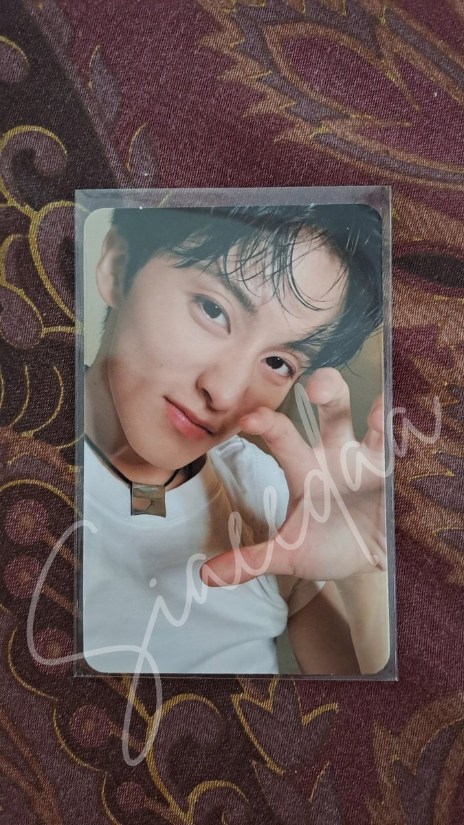Ai(◍•ᴗ•◍)mork tweet media