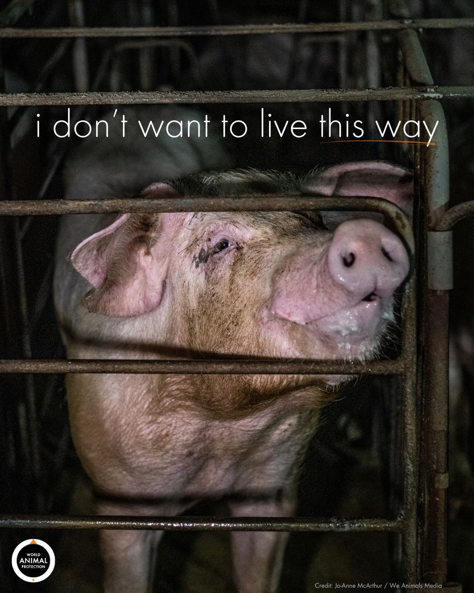 If she could choose, she wouldn't choose this life. 💔
