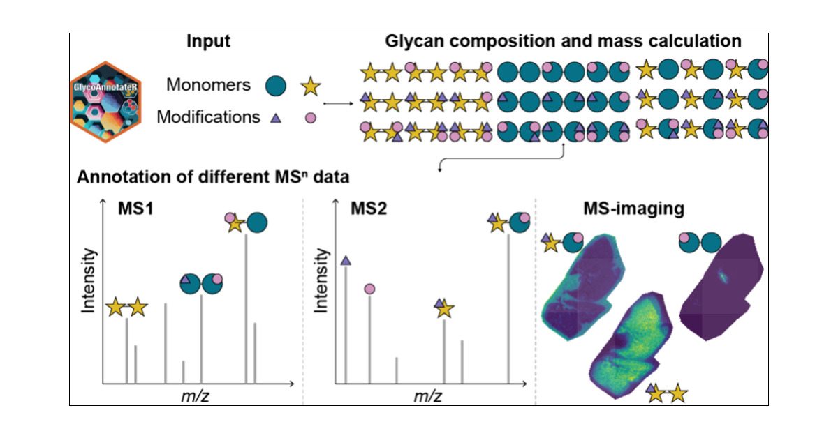 (JASMS) [ASAP] De Novo Glycan Annotation of Mass Spectrometry Data dlvr.it/TLk3NL (RSS) #MassSpecRSS #JASMS