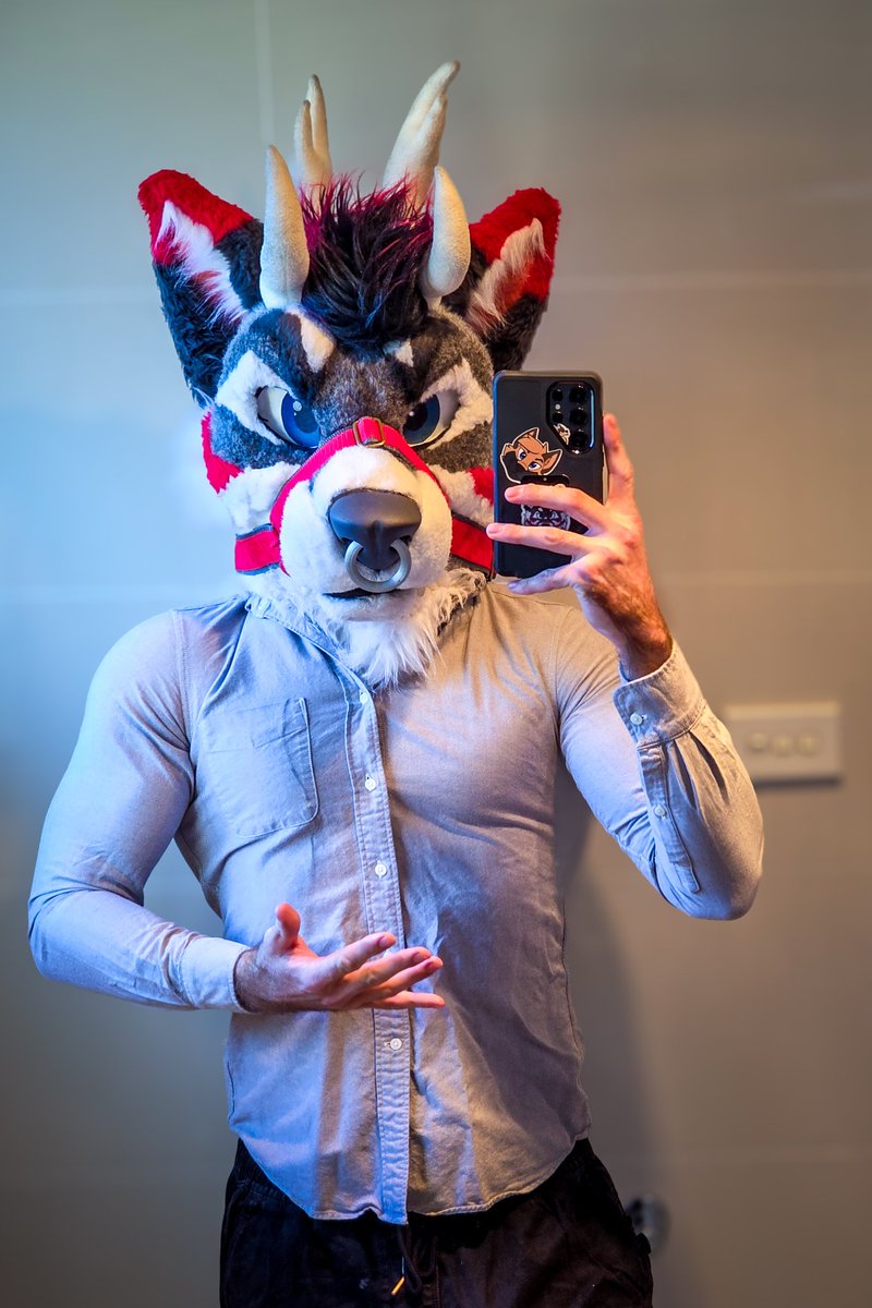 Kosasky's tweet image. Bought a nice shirt from Uniqlo a couple of years ago.
It fit nicely then.
Now it's about to bust buttons 😂
Guess all the lifting has done something.
#FursuitFriday