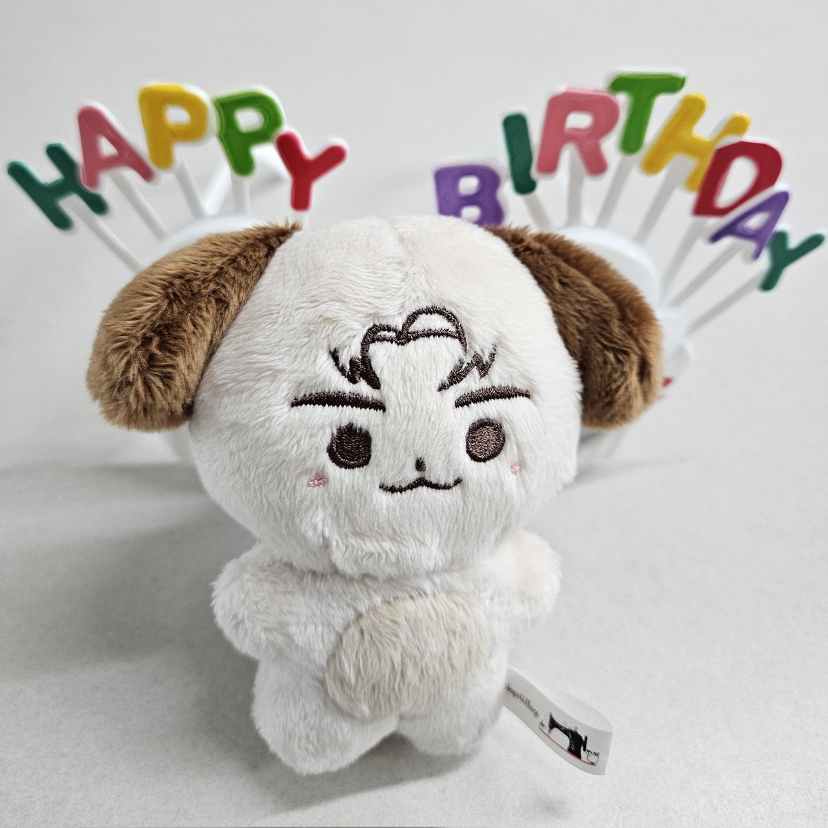 훈멍이도 제후니엉아 생일을 축하해요🐶🥳